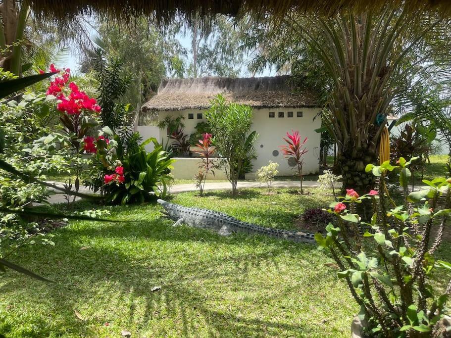 Oasis Club Villa Cap Skirring Buitenkant foto