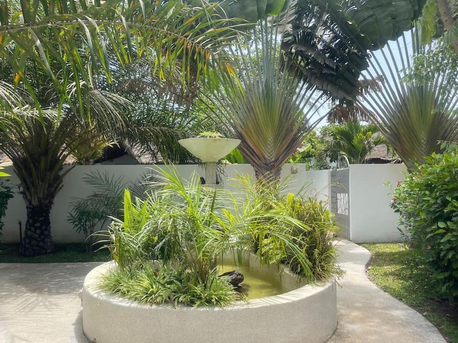 Oasis Club Villa Cap Skirring Buitenkant foto